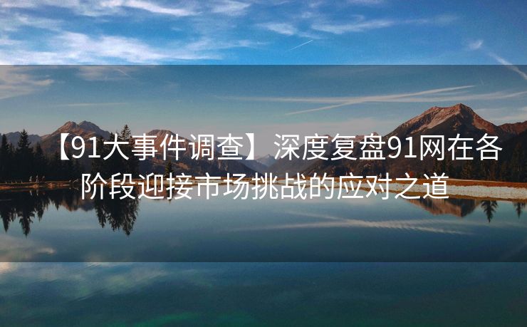 【91大事件调查】深度复盘91网在各阶段迎接市场挑战的应对之道