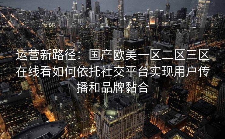 运营新路径：国产欧美一区二区三区在线看如何依托社交平台实现用户传播和品牌黏合