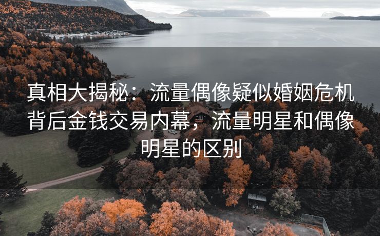 真相大揭秘:流量偶像疑似婚姻危机背后金钱交易内幕,流量明星和偶像明星的区别 真相大揭秘:流量偶像疑似婚姻危机背后金钱交易内幕,流量明星和偶像明星的区别